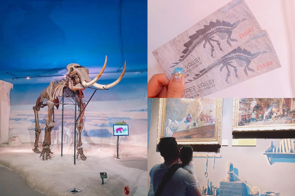 親子住宿推薦 南科贊美酒店 一泊二食烘窯釣魚好好玩 親子旅宿南部住宿推薦 近頑皮世界動物園112.jpg 親子住宿推薦 南科贊美酒店 一泊二食烘窯釣魚好好玩 親子旅宿南部住宿推薦 近頑皮世界動物園112.jpg