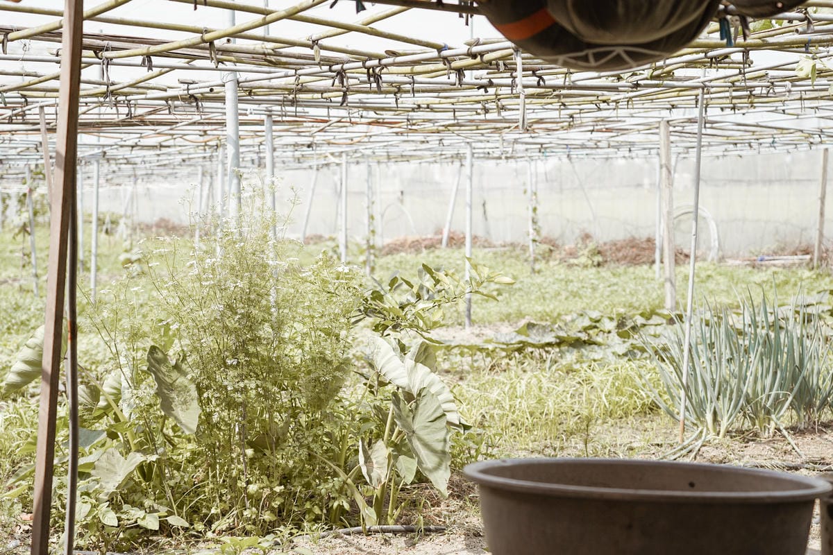 親子住宿推薦 南科贊美酒店 一泊二食烘窯釣魚好好玩 親子旅宿南部住宿推薦 近頑皮世界動物園54.jpg 親子住宿推薦 南科贊美酒店 一泊二食烘窯釣魚好好玩 親子旅宿南部住宿推薦 近頑皮世界動物園54.jpg