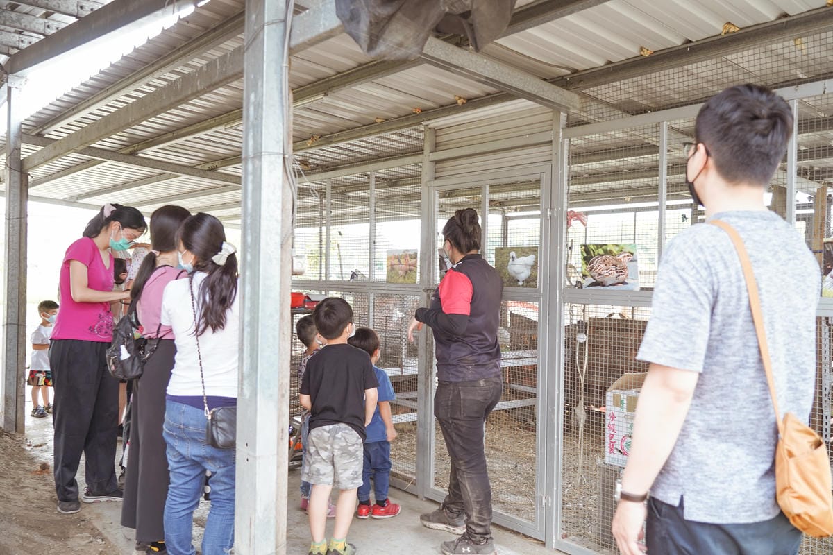 親子住宿推薦 南科贊美酒店 一泊二食烘窯釣魚好好玩 親子旅宿南部住宿推薦 近頑皮世界動物園69.jpg 親子住宿推薦 南科贊美酒店 一泊二食烘窯釣魚好好玩 親子旅宿南部住宿推薦 近頑皮世界動物園69.jpg