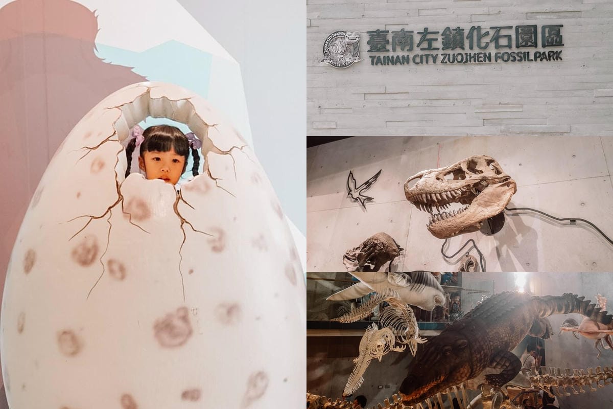 親子住宿推薦 南科贊美酒店 一泊二食烘窯釣魚好好玩 親子旅宿南部住宿推薦 近頑皮世界動物園111.jpg 親子住宿推薦 南科贊美酒店 一泊二食烘窯釣魚好好玩 親子旅宿南部住宿推薦 近頑皮世界動物園111.jpg