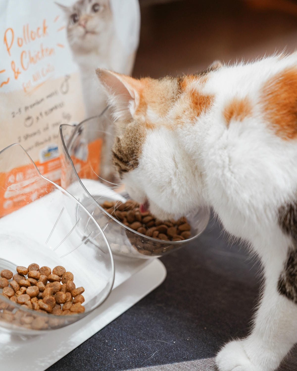 高CP值貓咪飼料推薦 優格寵物食譜 給貓咪高肉量配方 三種肉四種肉好評開箱24.jpg 高CP值貓咪飼料推薦 優格寵物食譜 給貓咪高肉量配方 三種肉四種肉好評開箱24.jpg