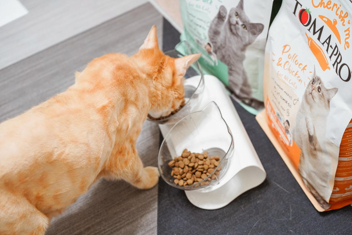 高CP值貓咪飼料推薦 優格寵物食譜 給貓咪高肉量配方 三種肉四種肉好評開箱31.jpg 高CP值貓咪飼料推薦 優格寵物食譜 給貓咪高肉量配方 三種肉四種肉好評開箱31.jpg