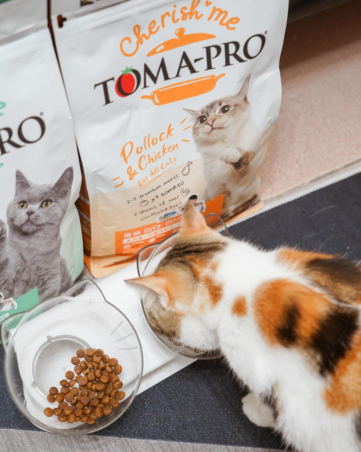 高CP值貓咪飼料推薦 優格寵物食譜 給貓咪高肉量配方 三種肉四種肉好評開箱23.jpg 高CP值貓咪飼料推薦 優格寵物食譜 給貓咪高肉量配方 三種肉四種肉好評開箱23.jpg