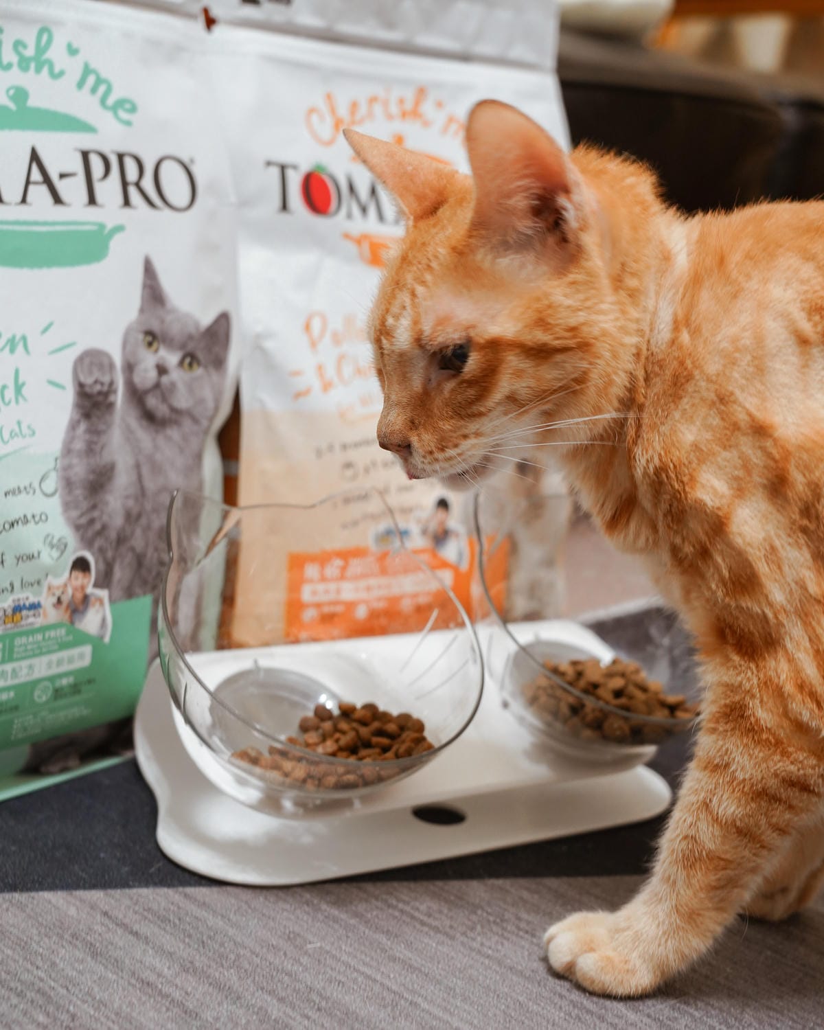 高CP值貓咪飼料推薦 優格寵物食譜 給貓咪高肉量配方 三種肉四種肉好評開箱33.jpg 高CP值貓咪飼料推薦 優格寵物食譜 給貓咪高肉量配方 三種肉四種肉好評開箱33.jpg