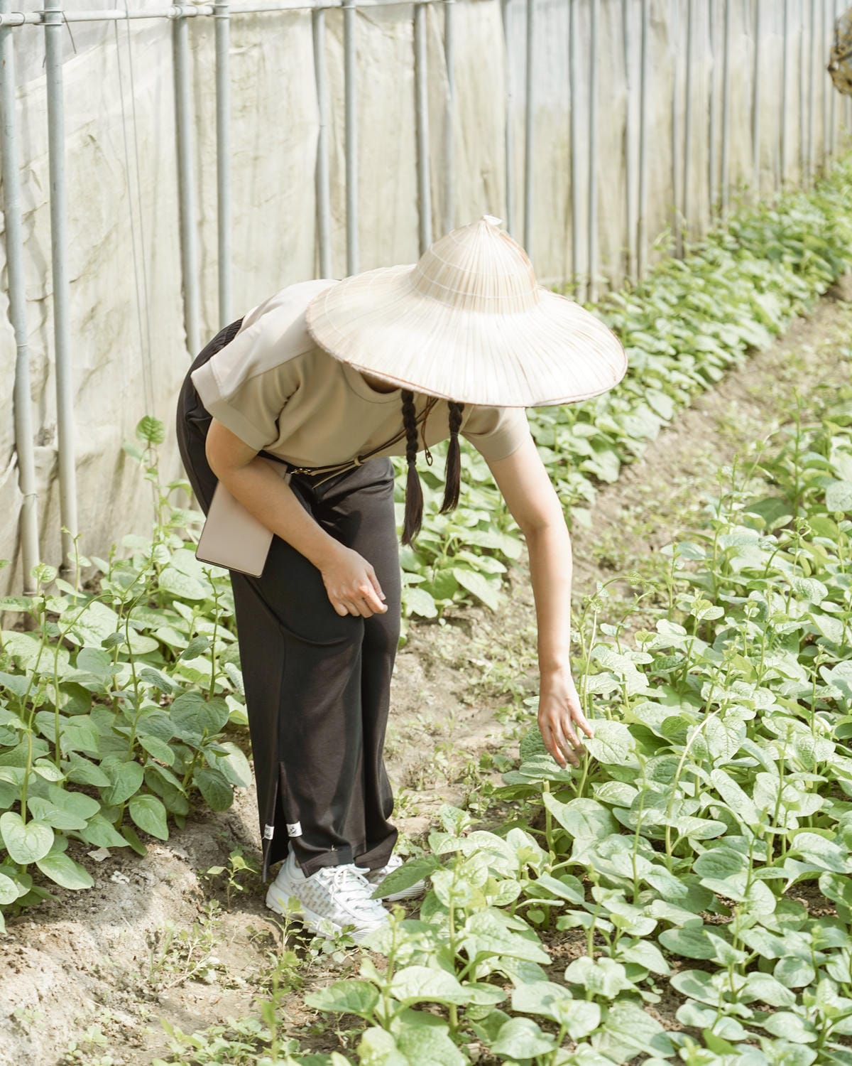 屏東親子行程｜2022青農領航 十大食農體驗經典路線 萬丹777 一騎遊竹林 體驗不一樣的萬丹一日遊30.jpg