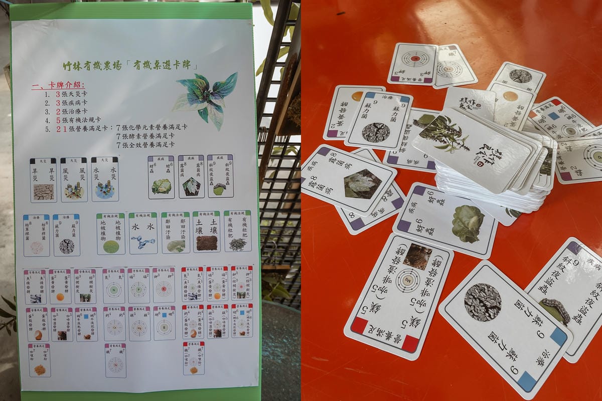 屏東親子行程｜2022青農領航 十大食農體驗經典路線 萬丹777 一騎遊竹林 體驗不一樣的萬丹一日遊32.jpg