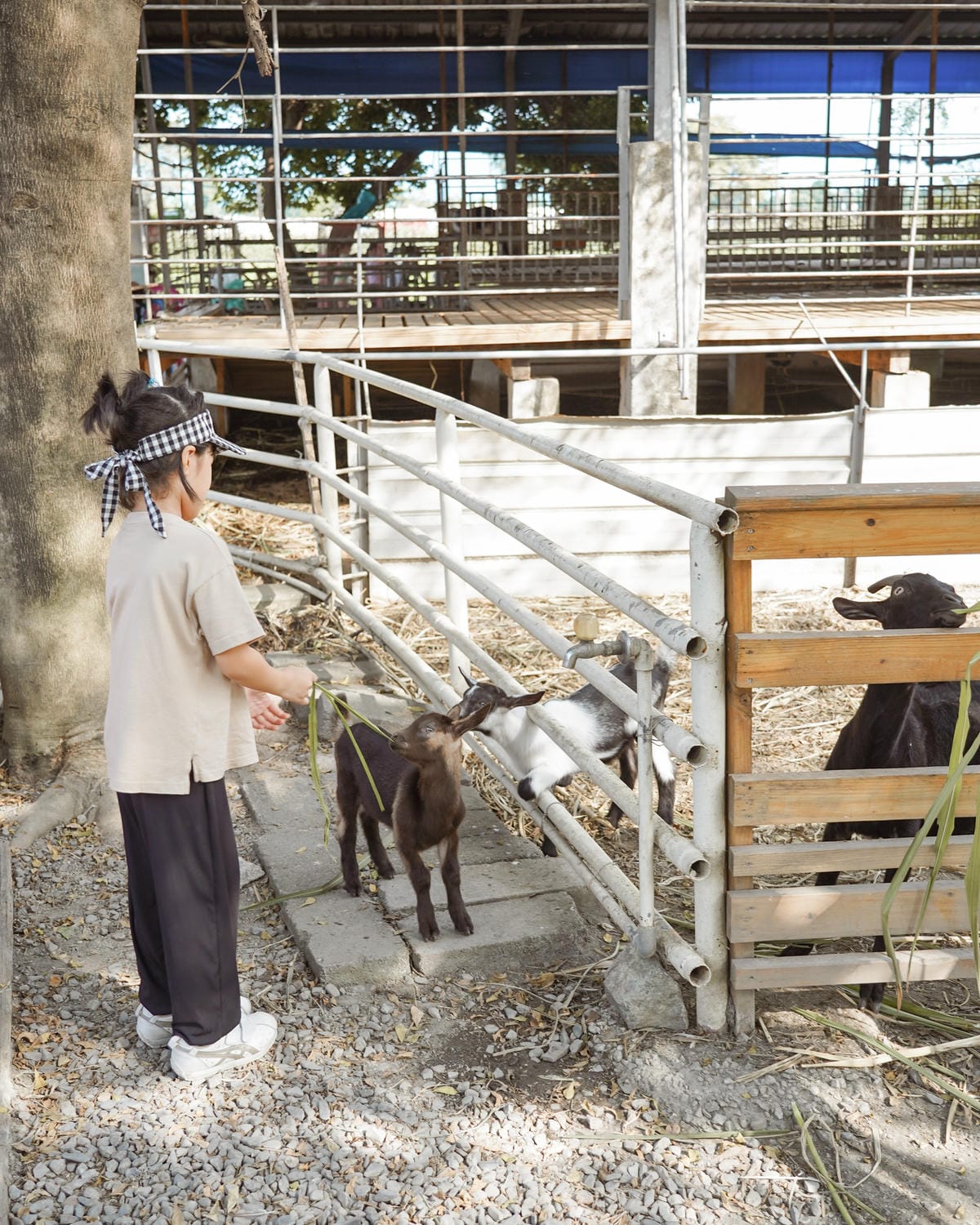 屏東親子行程｜2022青農領航 十大食農體驗經典路線 萬丹777 一騎遊竹林 體驗不一樣的萬丹一日遊53.jpg