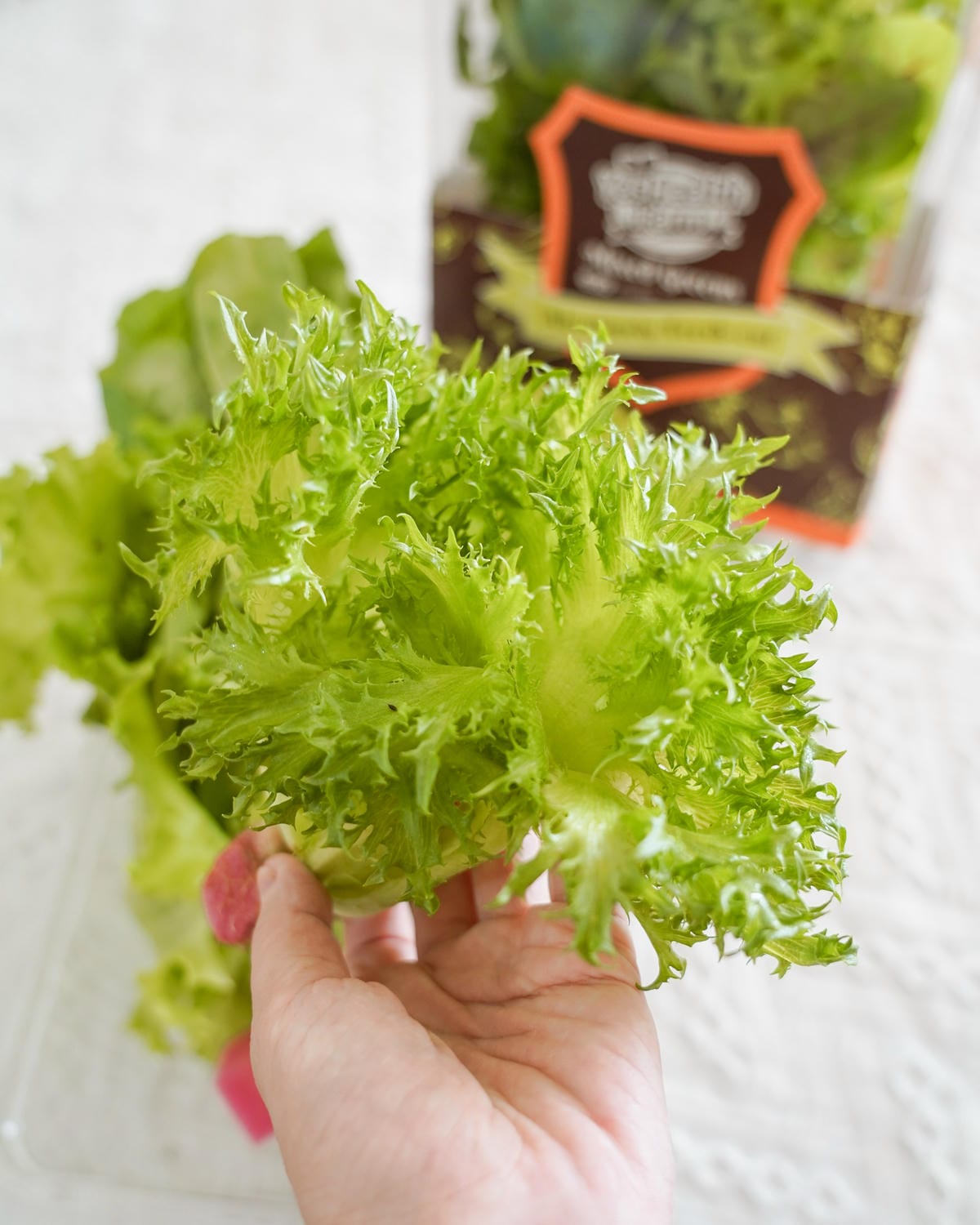 源鮮智慧農場 讓我愛上大口吃菜 活舒菜食譜分享13.jpg 源鮮智慧農場 讓我愛上大口吃菜 活舒菜食譜分享13.jpg