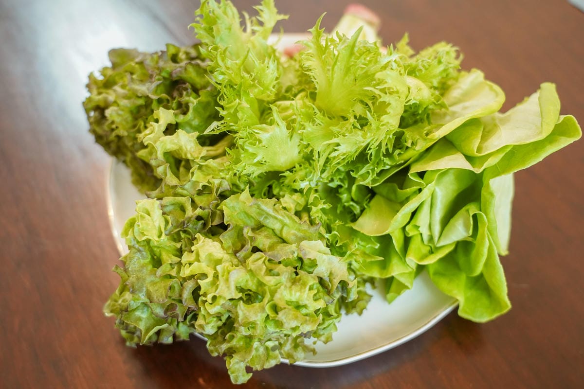 源鮮智慧農場 讓我愛上大口吃菜 活舒菜食譜分享8.jpg 源鮮智慧農場 讓我愛上大口吃菜 活舒菜食譜分享8.jpg