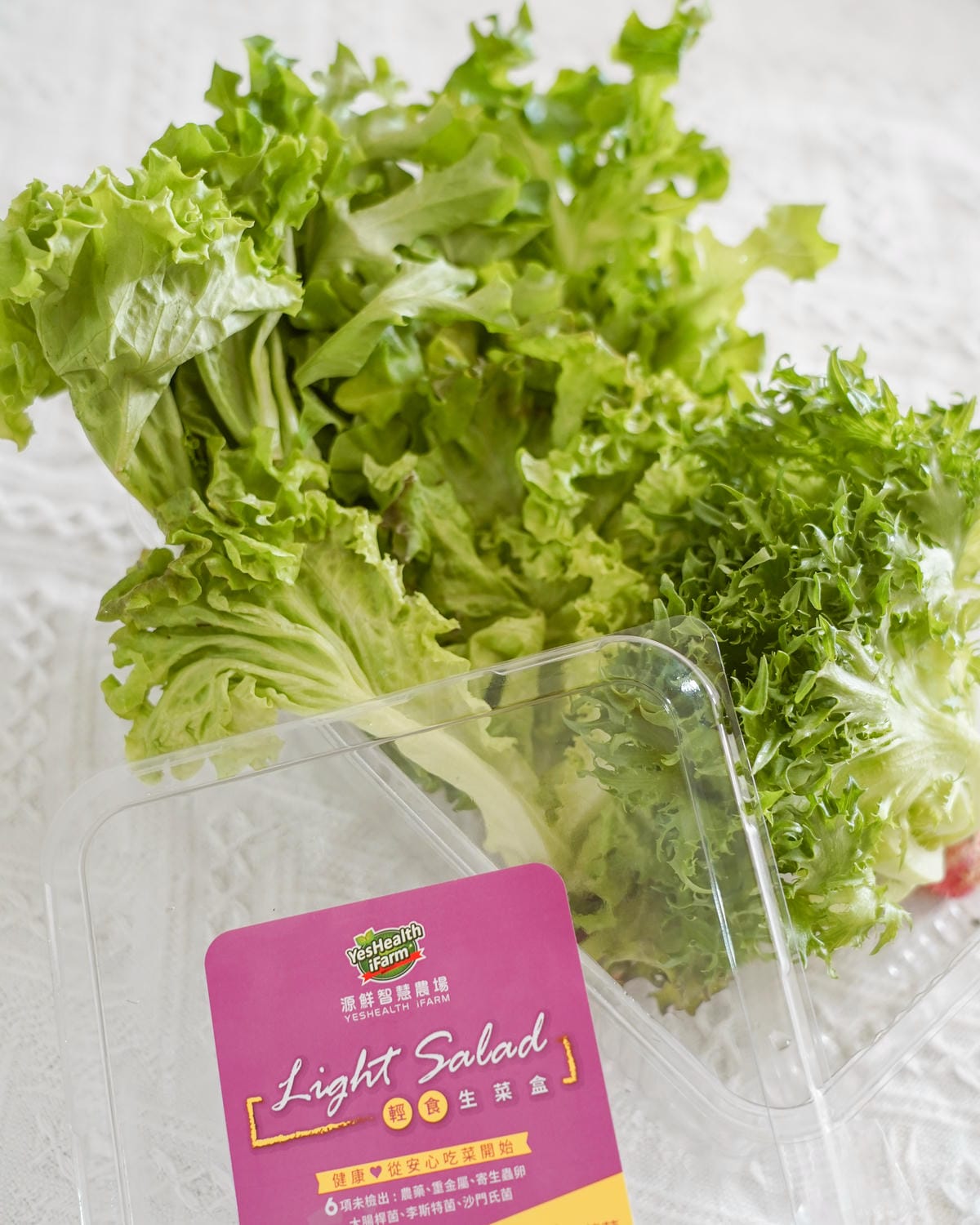 源鮮智慧農場 讓我愛上大口吃菜 活舒菜食譜分享10A.jpg 源鮮智慧農場 讓我愛上大口吃菜 活舒菜食譜分享10A.jpg