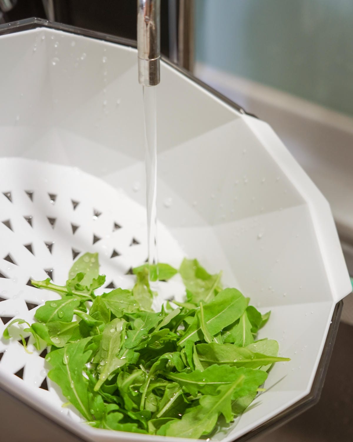 源鮮智慧農場 讓我愛上大口吃菜 活舒菜食譜分享35.jpg 源鮮智慧農場 讓我愛上大口吃菜 活舒菜食譜分享35.jpg