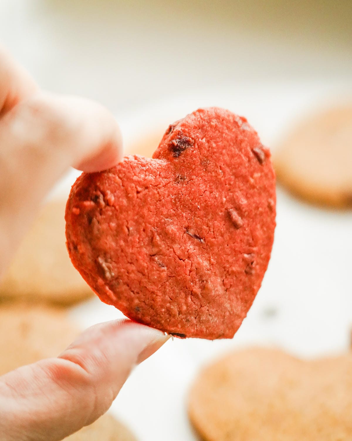 台中法式手工喜餅推薦 Hera 赫拉頂級喜餅 成雙禮盒喜餅試吃17.jpg