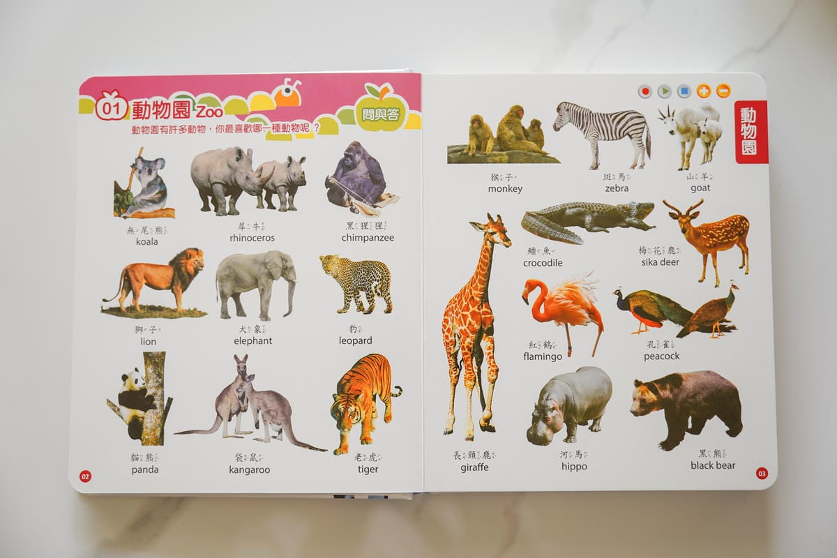 0-10歲點讀筆教材 小牛津黃金升級版48件組全腦開發點讀大寶盒 親子互動遊戲書 學習好有趣11.jpg