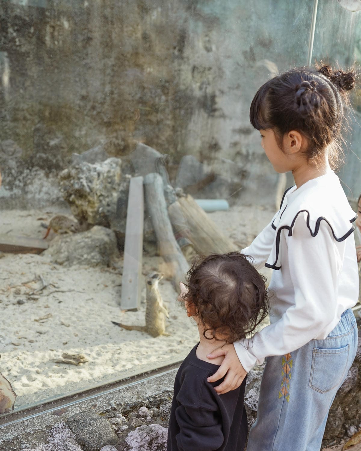 壽山動物園冒險去吧!全新壽山AR尋寶Go 解謎挑戰認識動物多更多49.jpg 壽山動物園冒險去吧!全新壽山AR尋寶Go 解謎挑戰認識動物多更多49.jpg