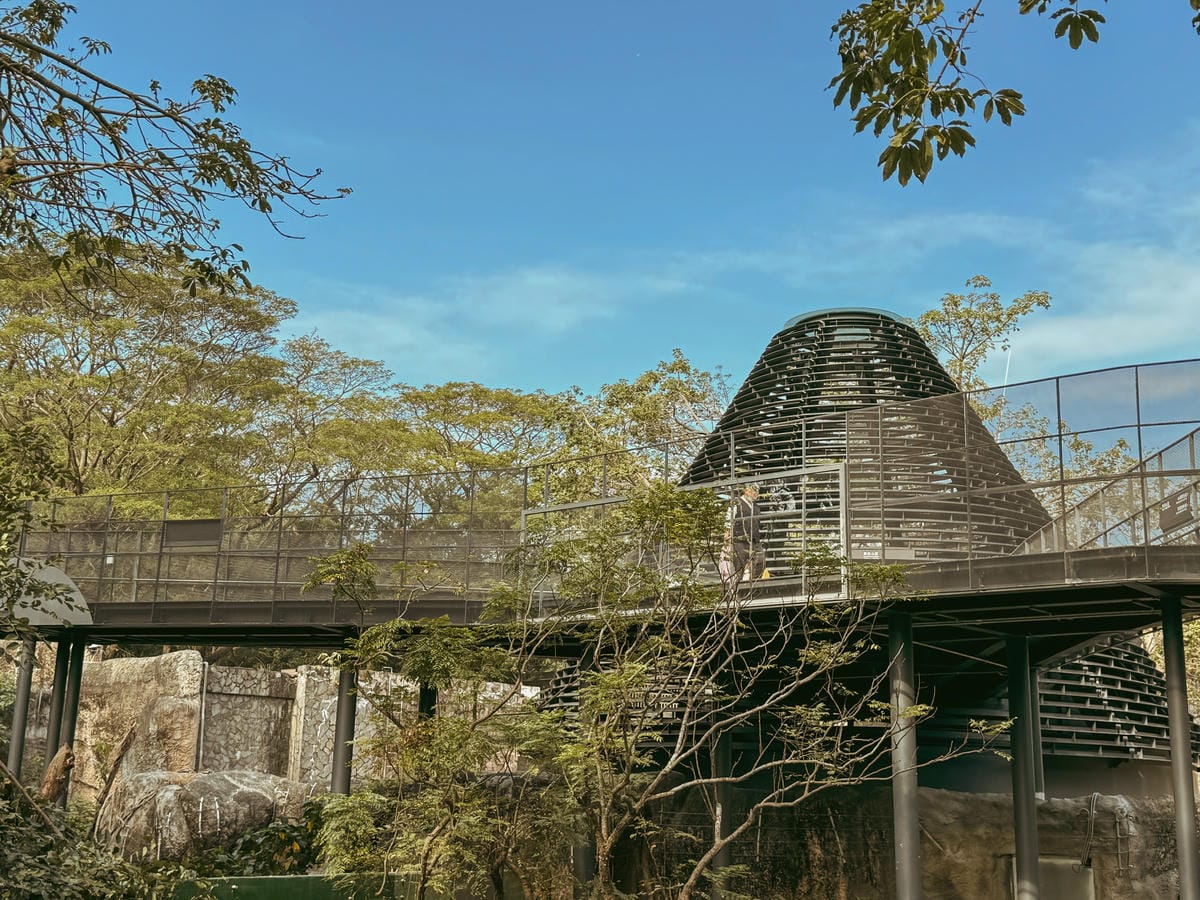 壽山動物園冒險去吧!全新壽山AR尋寶Go 解謎挑戰認識動物多更多2.jpg 壽山動物園冒險去吧!全新壽山AR尋寶Go 解謎挑戰認識動物多更多2.jpg