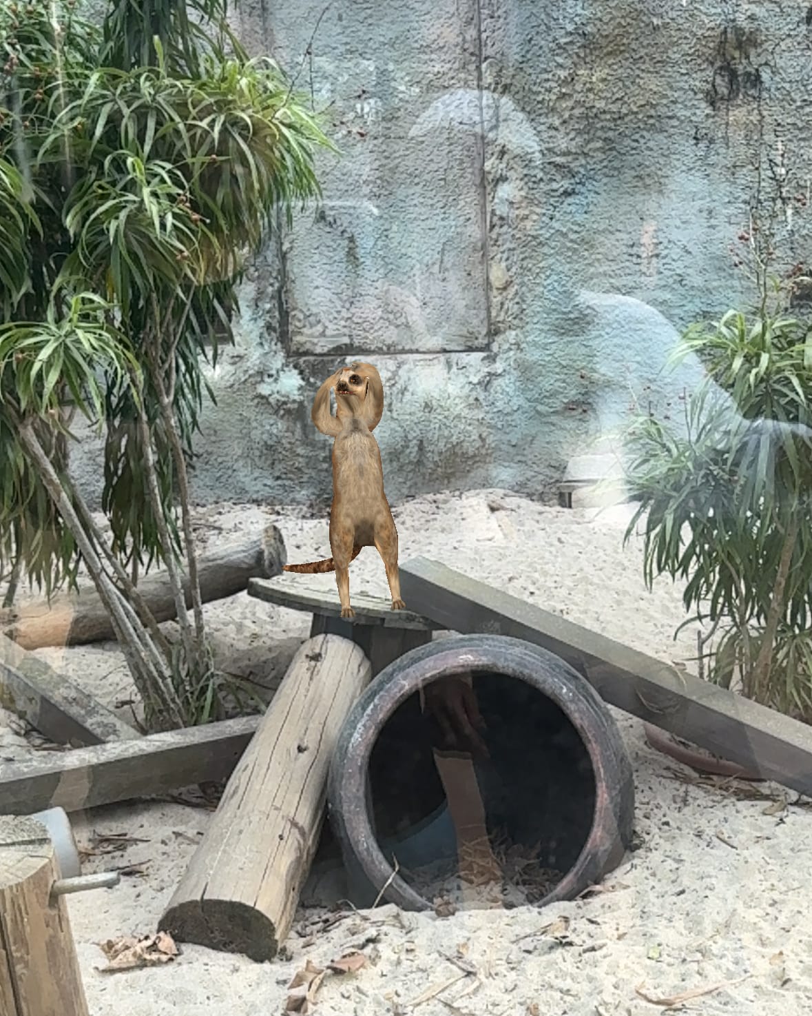 壽山動物園冒險去吧!全新壽山AR尋寶Go 解謎挑戰認識動物多更多46.jpg 壽山動物園冒險去吧!全新壽山AR尋寶Go 解謎挑戰認識動物多更多46.jpg