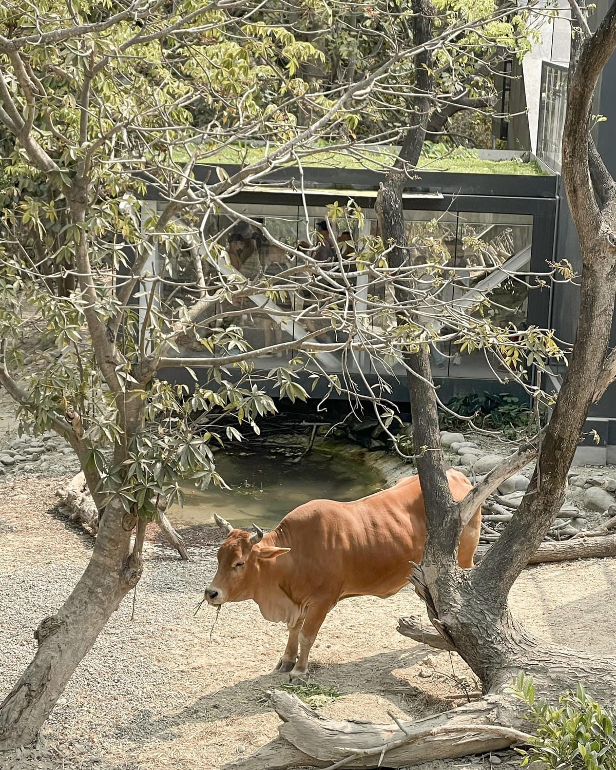 壽山動物園冒險去吧!全新壽山AR尋寶Go 解謎挑戰認識動物多更多35.jpg 壽山動物園冒險去吧!全新壽山AR尋寶Go 解謎挑戰認識動物多更多35.jpg