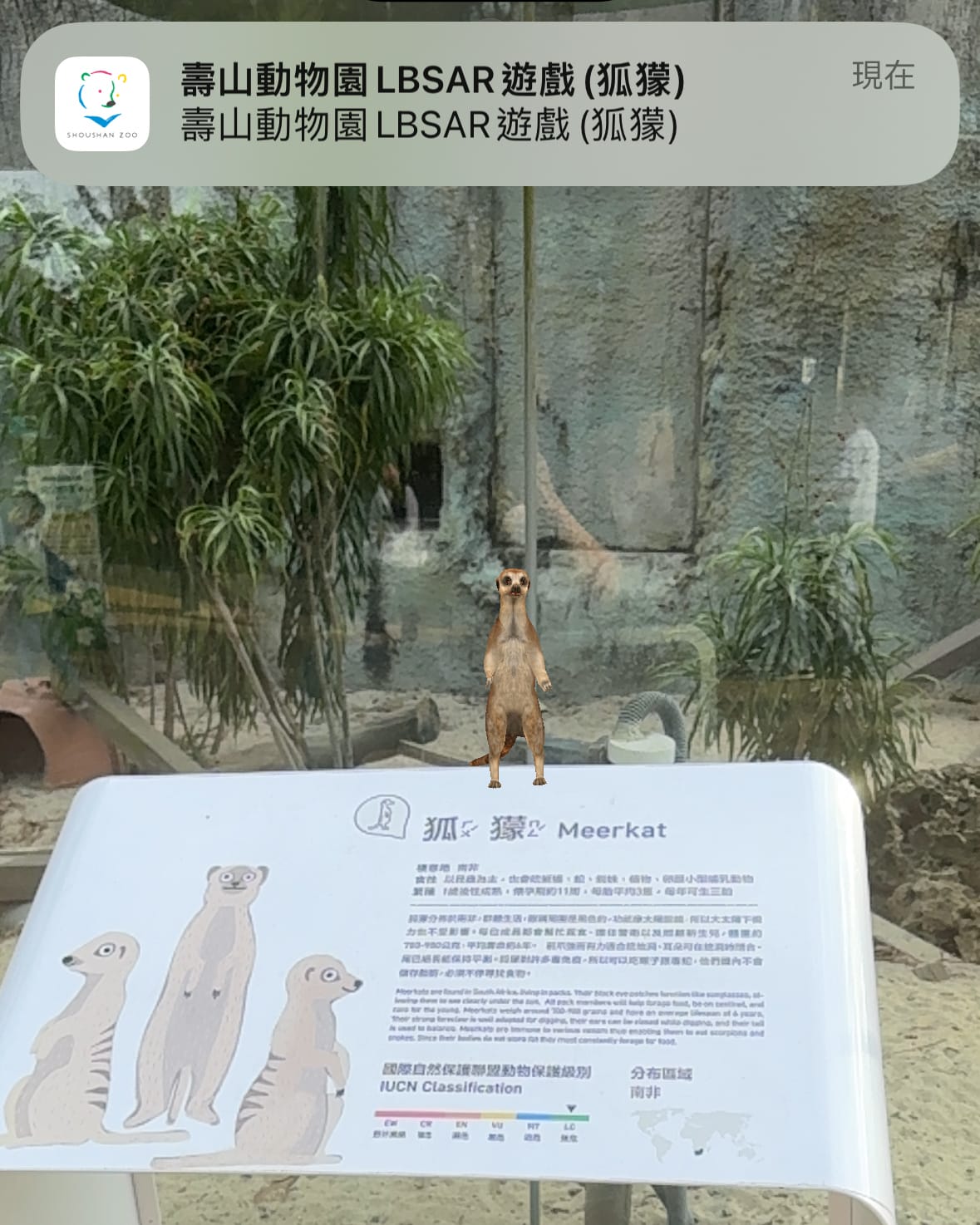 壽山動物園冒險去吧!全新壽山AR尋寶Go 解謎挑戰認識動物多更多45.jpg 壽山動物園冒險去吧!全新壽山AR尋寶Go 解謎挑戰認識動物多更多45.jpg