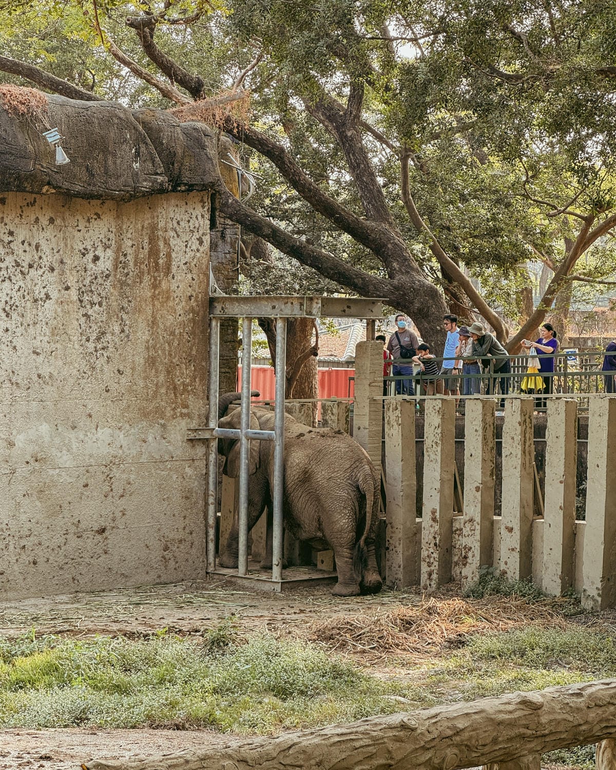 壽山動物園冒險去吧!全新壽山AR尋寶Go 解謎挑戰認識動物多更多28A.jpg 壽山動物園冒險去吧!全新壽山AR尋寶Go 解謎挑戰認識動物多更多28A.jpg