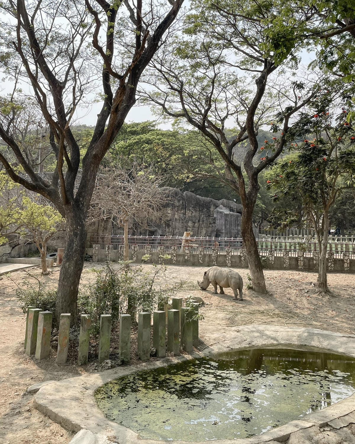 壽山動物園冒險去吧!全新壽山AR尋寶Go 解謎挑戰認識動物多更多25C (2).jpg 壽山動物園冒險去吧!全新壽山AR尋寶Go 解謎挑戰認識動物多更多25C (2).jpg