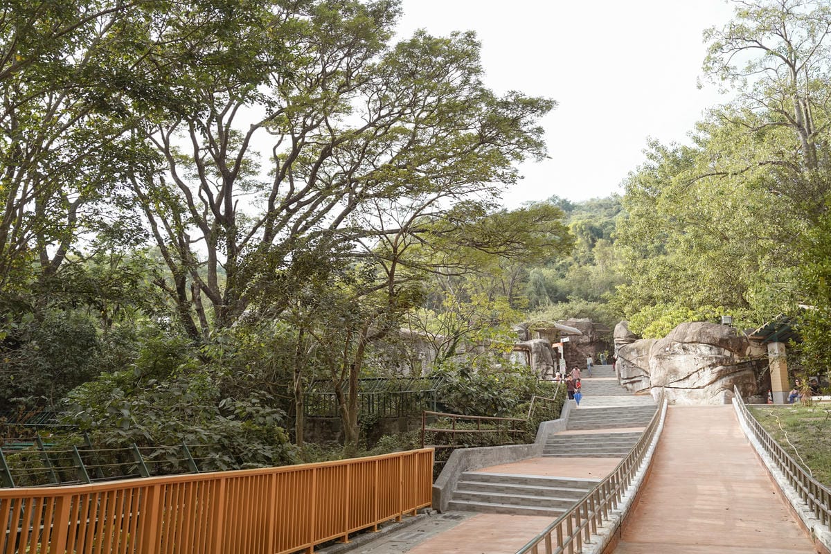 壽山動物園冒險去吧!全新壽山AR尋寶Go 解謎挑戰認識動物多更多4.jpg 壽山動物園冒險去吧!全新壽山AR尋寶Go 解謎挑戰認識動物多更多4.jpg