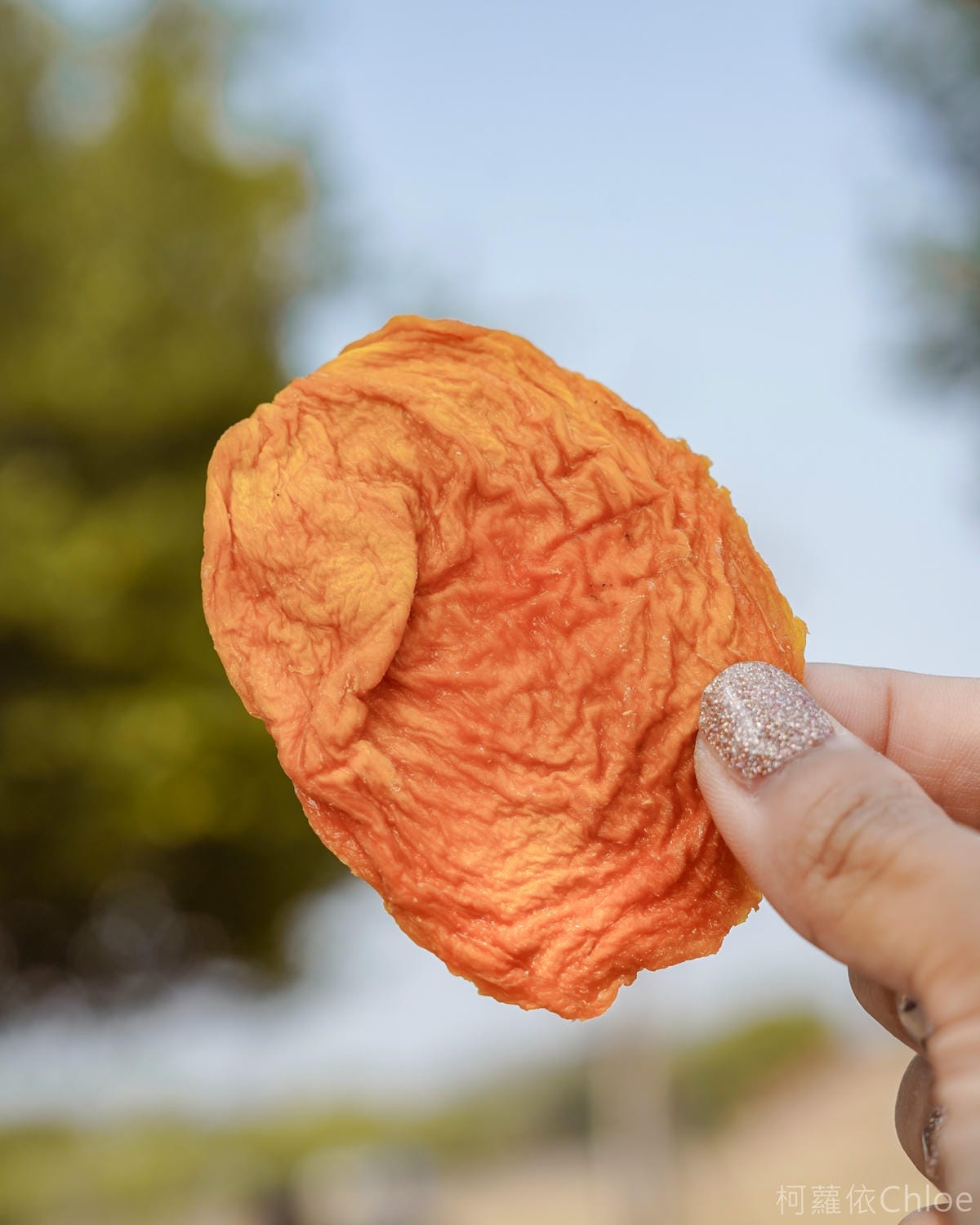 韻見果乾 親子野餐零嘴推薦 自然純粹好滋味 無糖愛文芒果乾 金鑽鳳梨乾好吃不膩10.jpg 韻見果乾 親子野餐零嘴推薦 自然純粹好滋味 無糖愛文芒果乾 金鑽鳳梨乾好吃不膩10.jpg