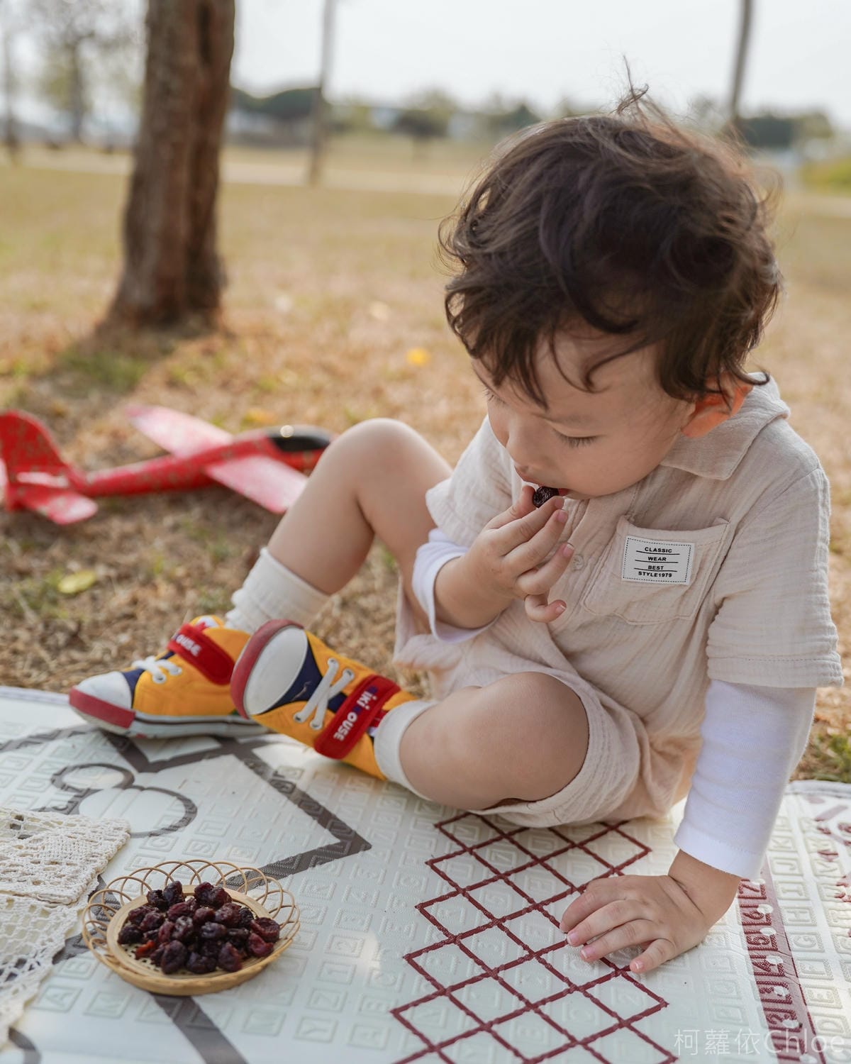 韻見果乾 親子野餐零嘴推薦 自然純粹好滋味 無糖愛文芒果乾 金鑽鳳梨乾好吃不膩23.jpg 韻見果乾 親子野餐零嘴推薦 自然純粹好滋味 無糖愛文芒果乾 金鑽鳳梨乾好吃不膩23.jpg