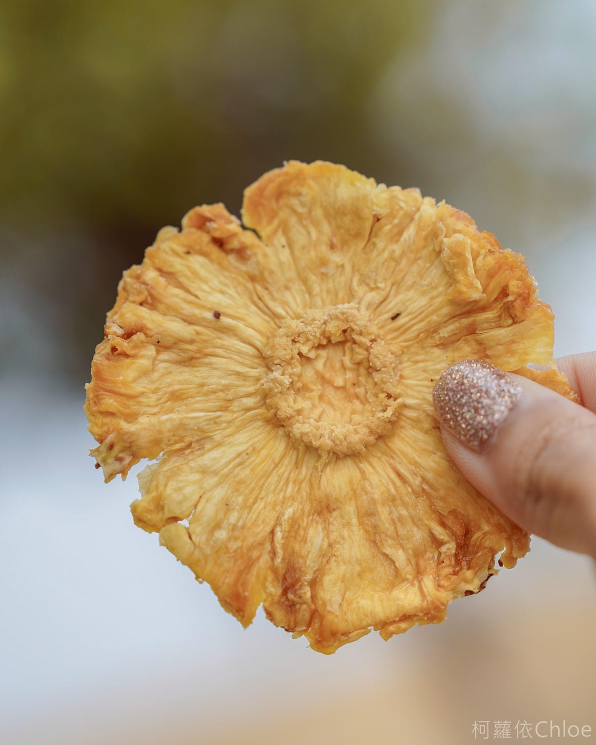 韻見果乾 親子野餐零嘴推薦 自然純粹好滋味 無糖愛文芒果乾 金鑽鳳梨乾好吃不膩16.jpg 韻見果乾 親子野餐零嘴推薦 自然純粹好滋味 無糖愛文芒果乾 金鑽鳳梨乾好吃不膩16.jpg