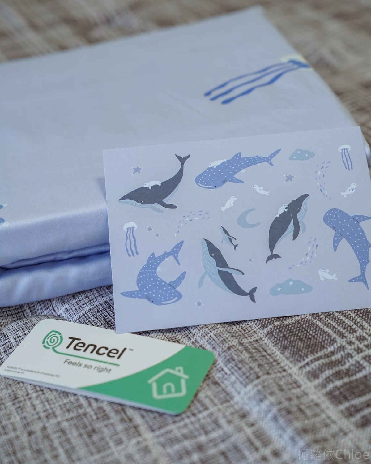 床墊床包推薦 棉床本舖Annahome AlizzZ愛麗絲三折床墊 天絲60支床包 打造夏日好好睡計畫28.jpg 床墊床包推薦 棉床本舖Annahome AlizzZ愛麗絲三折床墊 天絲60支床包 打造夏日好好睡計畫28.jpg