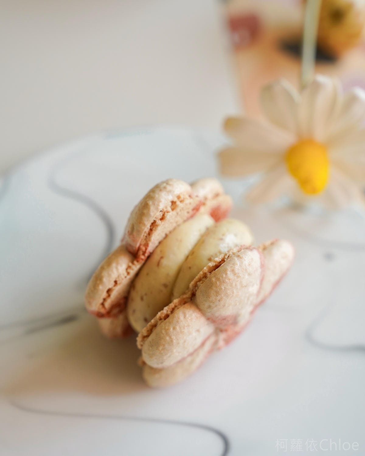 台南甜點馬卡龍店 溫點 온점韓式馬卡龍 限定版花朵胖卡龍可愛又好吃14.jpg 台南甜點馬卡龍店 溫點 온점韓式馬卡龍 限定版花朵胖卡龍可愛又好吃14.jpg