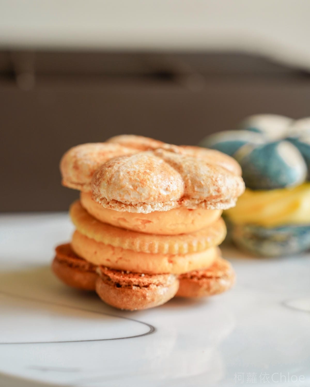 台南甜點馬卡龍店 溫點 온점韓式馬卡龍 限定版花朵胖卡龍可愛又好吃16.jpg 台南甜點馬卡龍店 溫點 온점韓式馬卡龍 限定版花朵胖卡龍可愛又好吃16.jpg