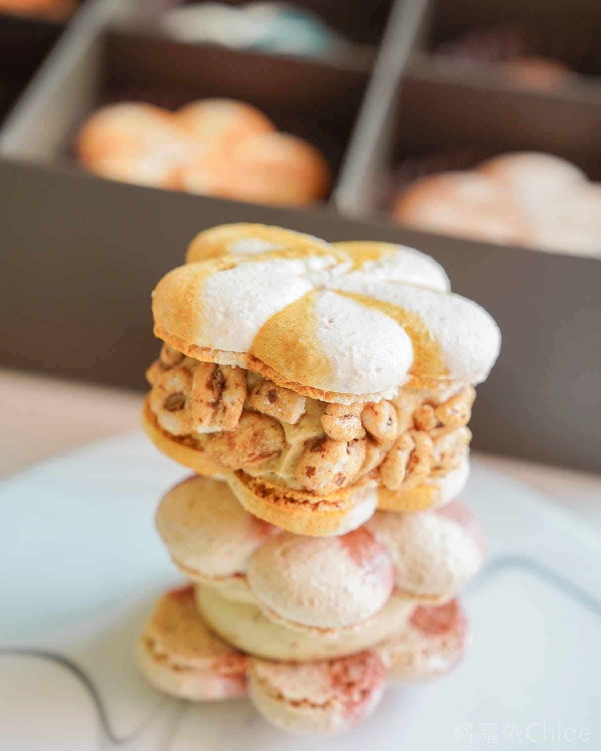 台南甜點馬卡龍店 溫點 온점韓式馬卡龍 限定版花朵胖卡龍可愛又好吃13.jpg 台南甜點馬卡龍店 溫點 온점韓式馬卡龍 限定版花朵胖卡龍可愛又好吃13.jpg