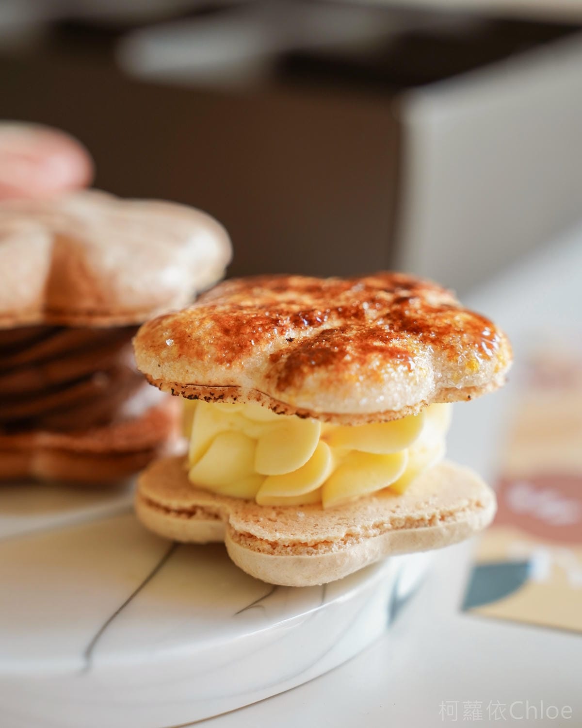 台南甜點馬卡龍店 溫點 온점韓式馬卡龍 限定版花朵胖卡龍可愛又好吃12.jpg 台南甜點馬卡龍店 溫點 온점韓式馬卡龍 限定版花朵胖卡龍可愛又好吃12.jpg