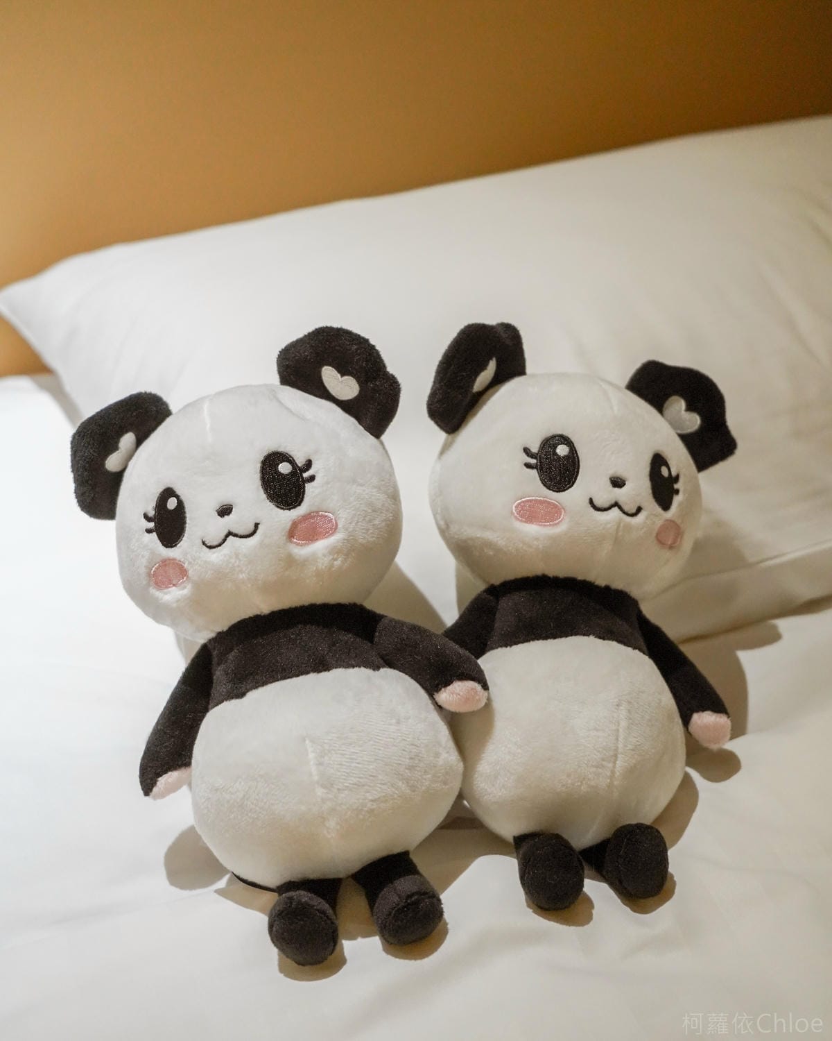 香港住宿 香港海洋公園萬豪酒店 親子特色主題房開箱12A.jpg