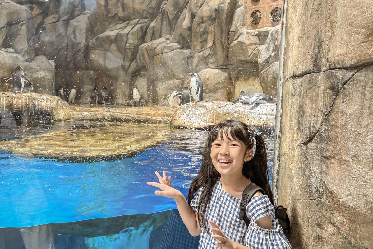香港海洋公園親子路線攻略2024 小小孩也適合 玩一整天值回票價37.jpg
