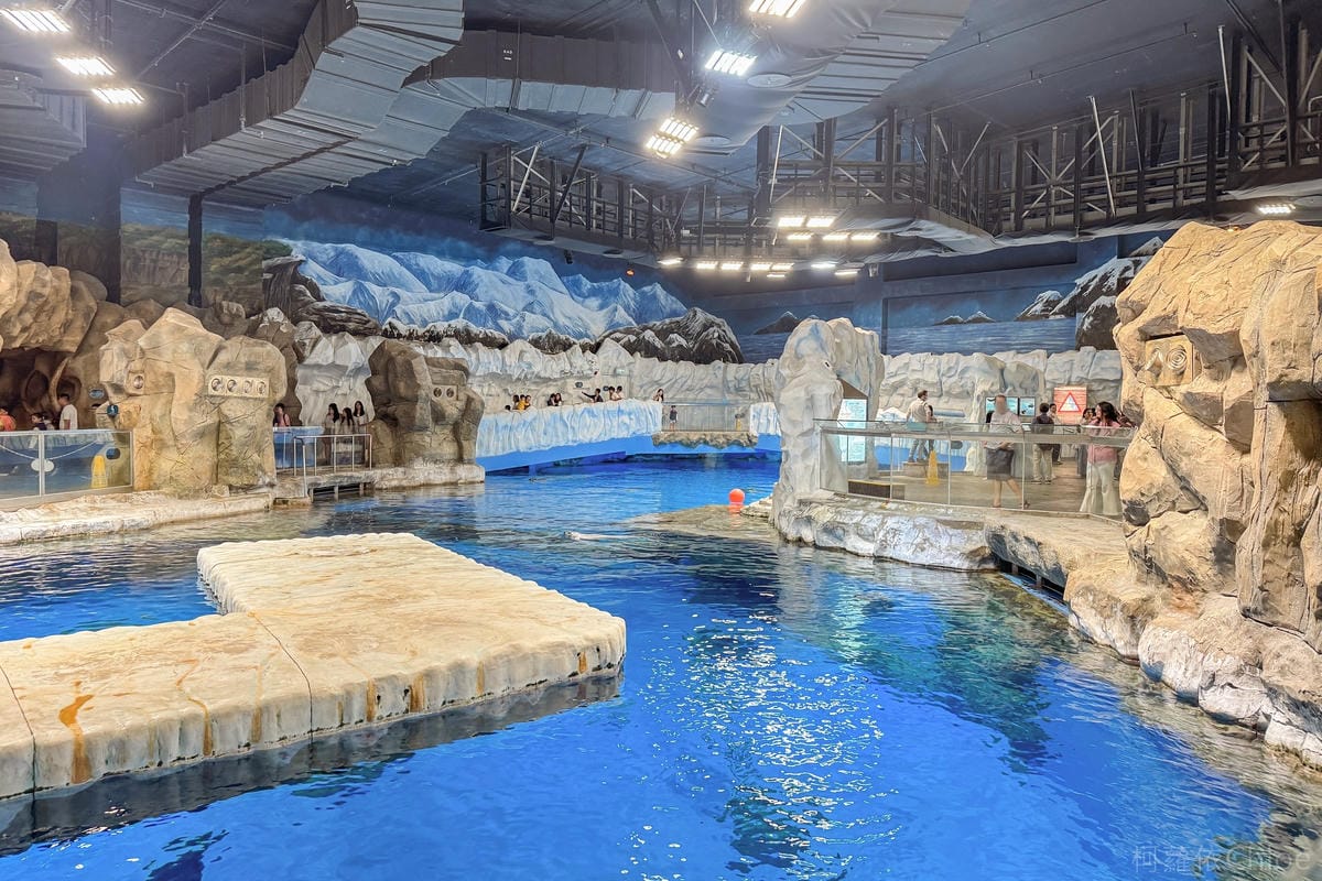 香港海洋公園親子路線攻略2024 小小孩也適合 玩一整天值回票價39.jpg