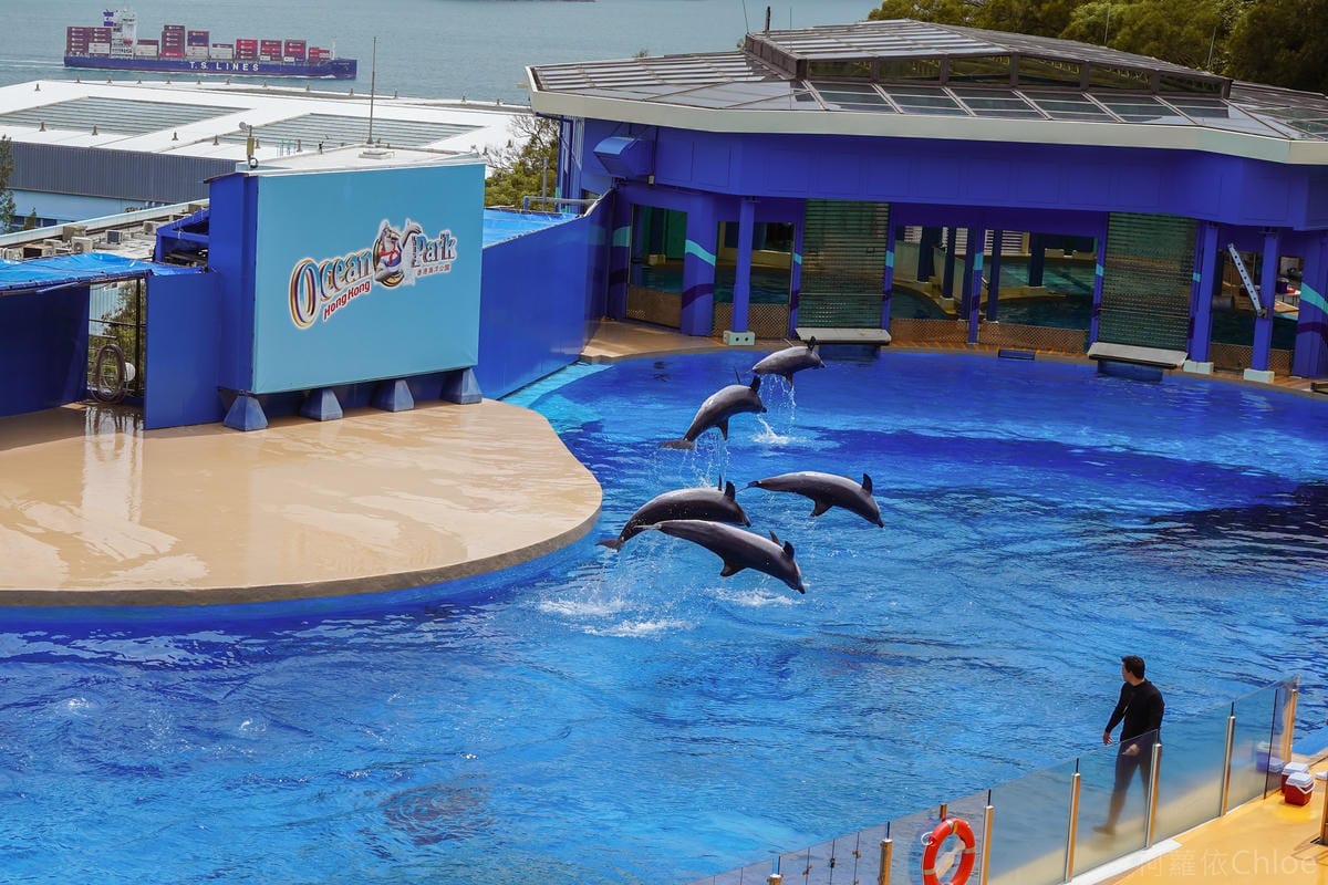 香港海洋公園親子路線攻略2024 小小孩也適合 玩一整天值回票價53.jpg