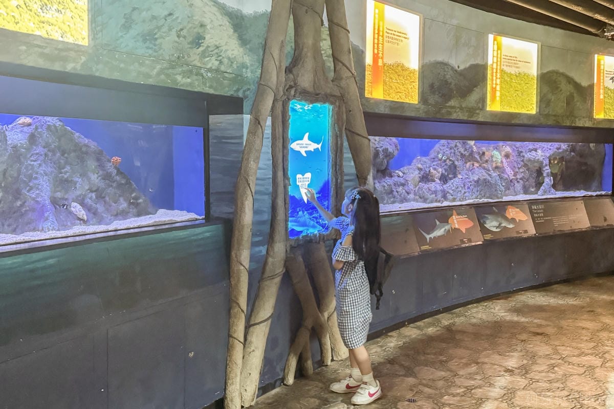 香港海洋公園親子路線攻略2024 小小孩也適合 玩一整天值回票價46.jpg