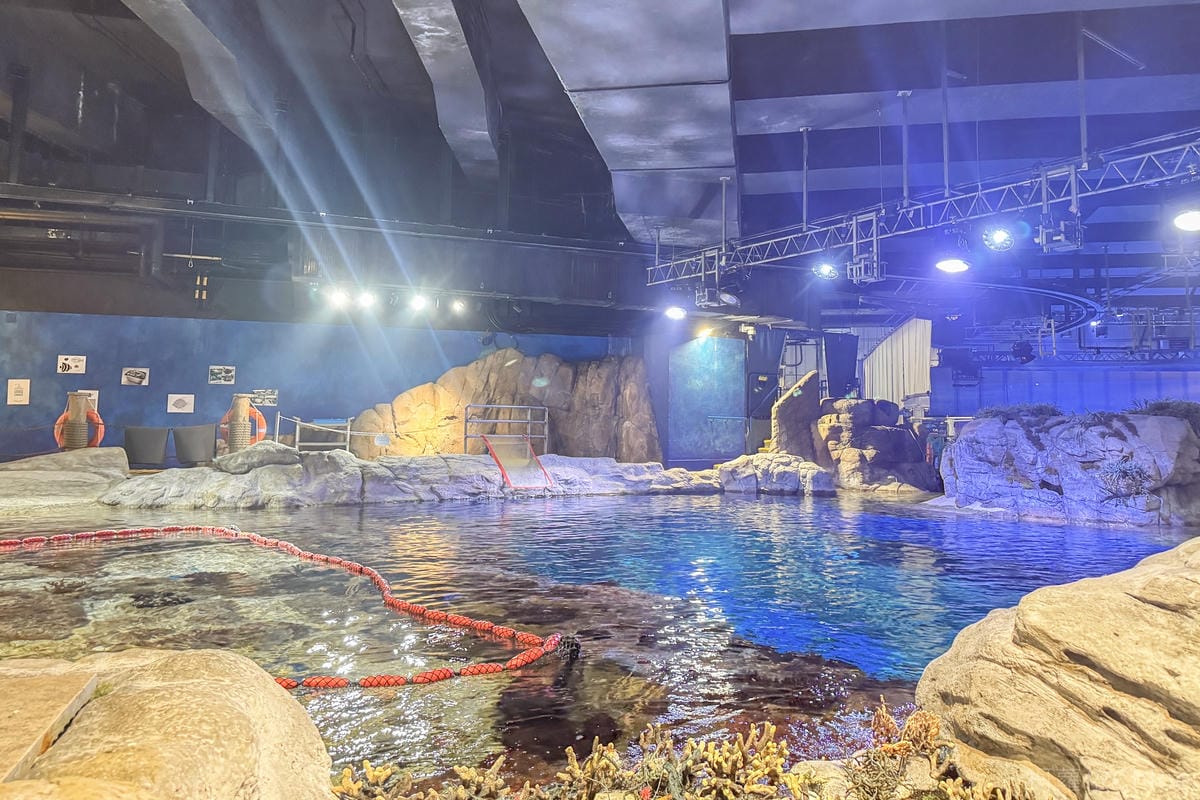 香港海洋公園親子路線攻略2024 小小孩也適合 玩一整天值回票價8.jpg