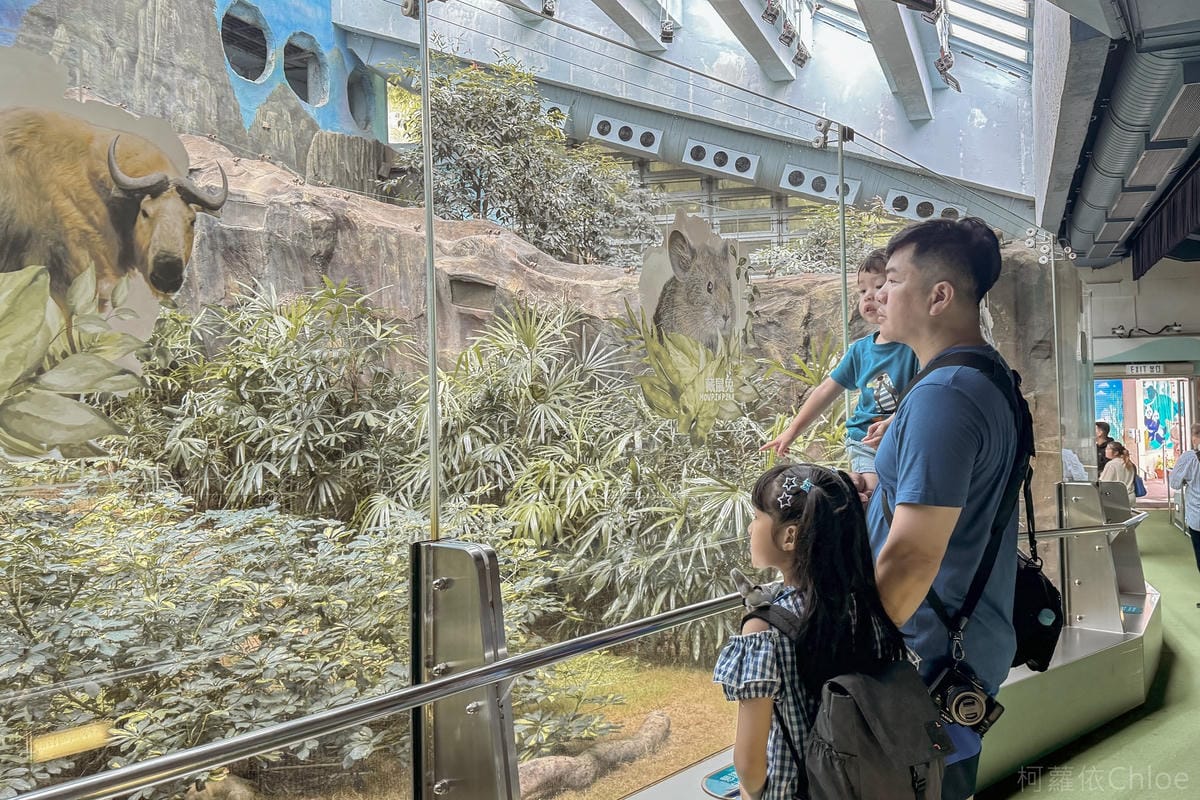 香港海洋公園親子路線攻略2024 小小孩也適合 玩一整天值回票價22.jpg