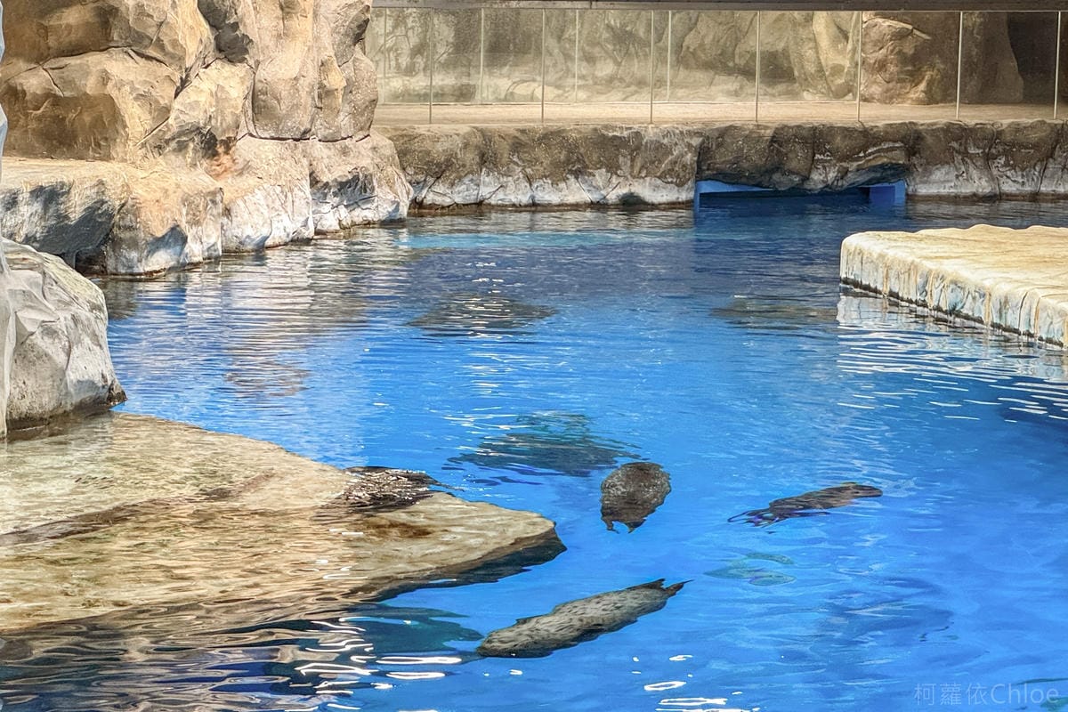 香港海洋公園親子路線攻略2024 小小孩也適合 玩一整天值回票價41.jpg