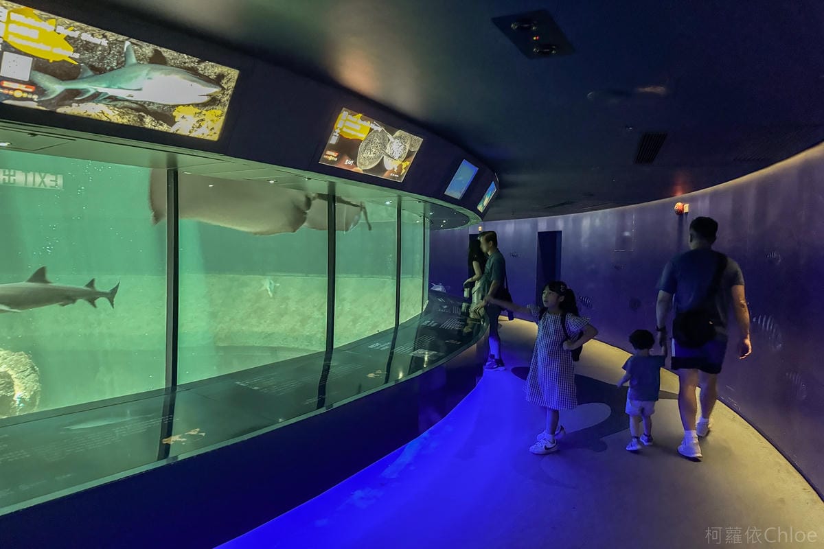 香港海洋公園親子路線攻略2024 小小孩也適合 玩一整天值回票價48.jpg