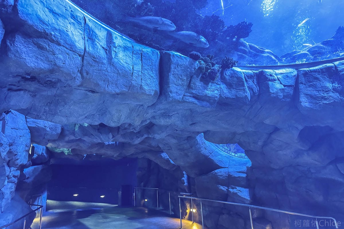 香港海洋公園親子路線攻略2024 小小孩也適合 玩一整天值回票價11.jpg
