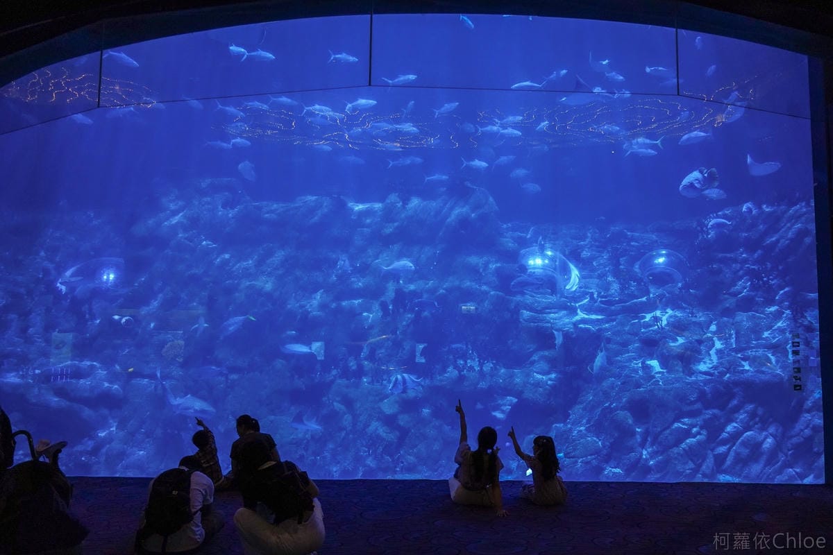 香港海洋公園親子路線攻略2024 小小孩也適合 玩一整天值回票價7.jpg