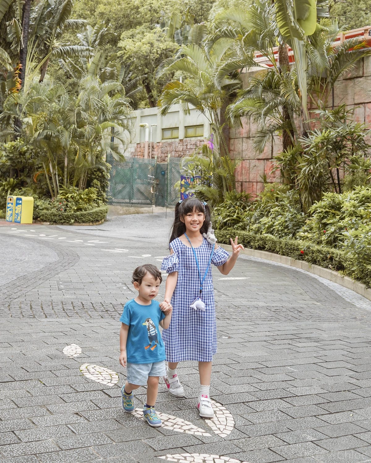 香港海洋公園親子路線攻略2024 小小孩也適合 玩一整天值回票價25.jpg