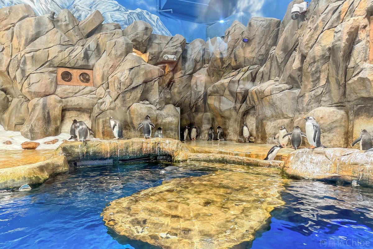 香港海洋公園親子路線攻略2024 小小孩也適合 玩一整天值回票價35.jpg
