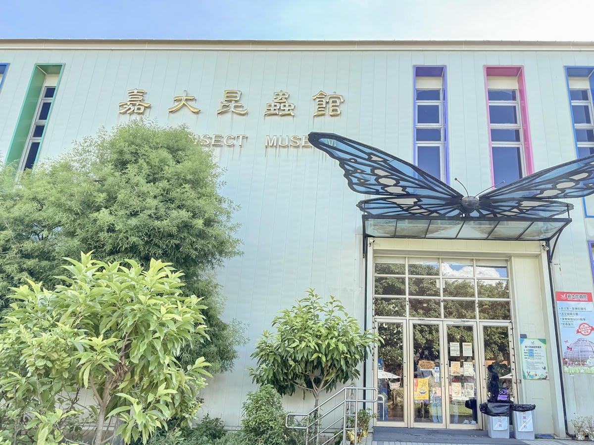 嘉義室內親子景點 嘉大昆蟲館 各式昆蟲標本 溫室蝴蝶園打卡必拍2.jpg 嘉義室內親子景點 嘉大昆蟲館 各式昆蟲標本 溫室蝴蝶園打卡必拍2.jpg