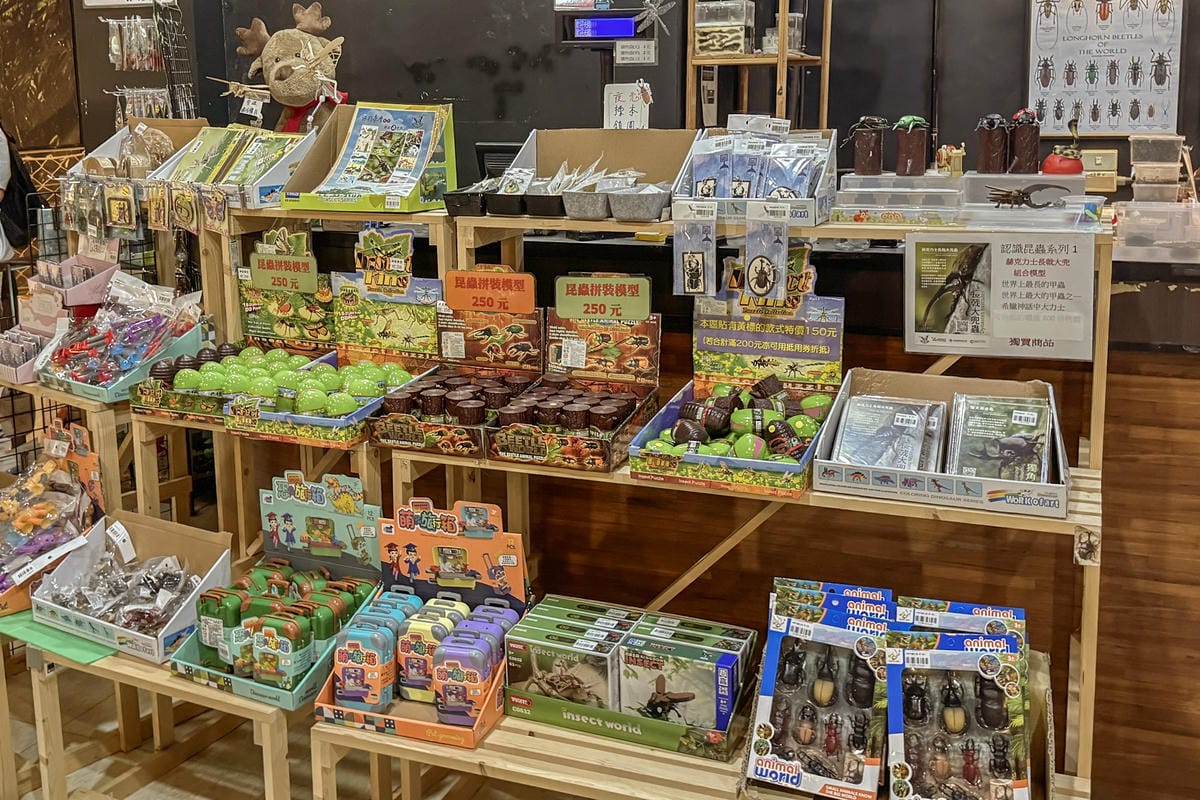 嘉義室內親子景點 嘉大昆蟲館 各式昆蟲標本 溫室蝴蝶園打卡必拍27.jpg 嘉義室內親子景點 嘉大昆蟲館 各式昆蟲標本 溫室蝴蝶園打卡必拍27.jpg