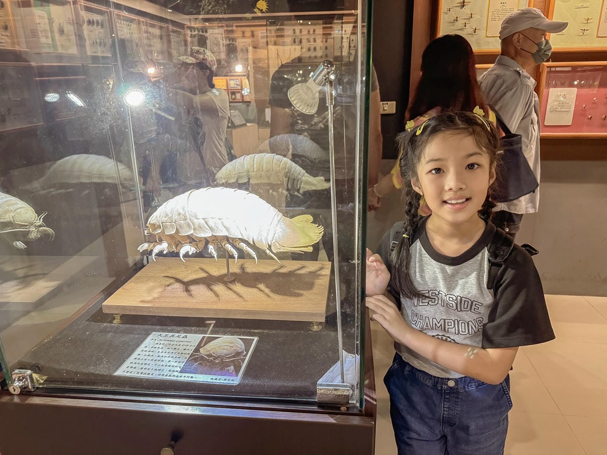 嘉義室內親子景點 嘉大昆蟲館 各式昆蟲標本 溫室蝴蝶園打卡必拍24.jpg 嘉義室內親子景點 嘉大昆蟲館 各式昆蟲標本 溫室蝴蝶園打卡必拍24.jpg