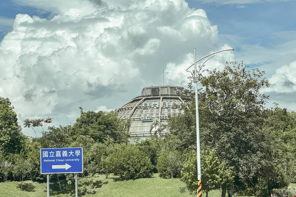 嘉義室內親子景點 嘉大昆蟲館 各式昆蟲標本 溫室蝴蝶園打卡必拍1.jpg 嘉義室內親子景點 嘉大昆蟲館 各式昆蟲標本 溫室蝴蝶園打卡必拍1.jpg